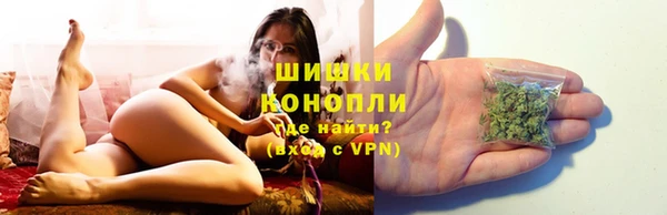 индика Гусь-Хрустальный