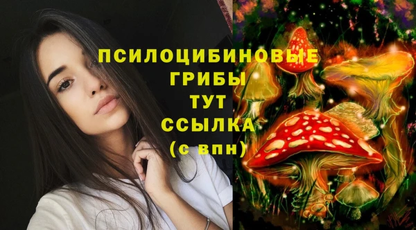 ГАЛЛЮЦИНОГЕННЫЕ ГРИБЫ Абинск