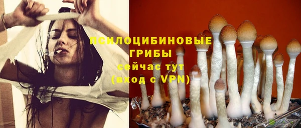 ГАЛЛЮЦИНОГЕННЫЕ ГРИБЫ Абинск
