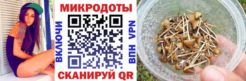 ссылка на мегу ССЫЛКА  Кемерово  Галлюциногенные грибы мухоморы 